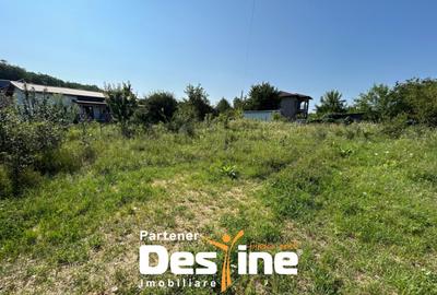 Teren Intravilan - Hlincea (Ciurea) 1000Mp - 11