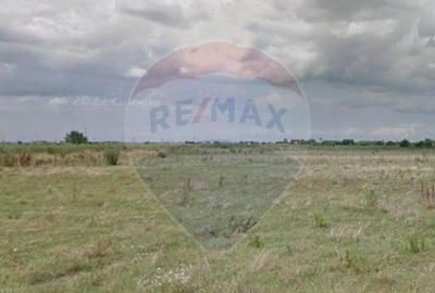 Teren 419mp Magurele / Drumul T32/116, p1, lot 13 - 3