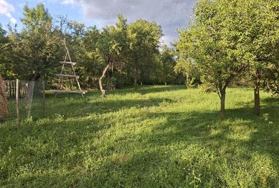 Teren de 5524 mp, în Poiana - 7