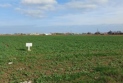 Teren Construcții intravilan de 6333 mp, în Aurel Vlaicu - 2