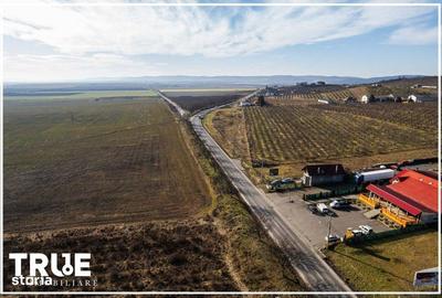 Spațiu comercial, în Apalina - 16