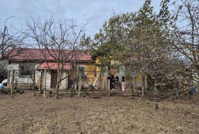 Casă cu 3 camere în Giubega - 5