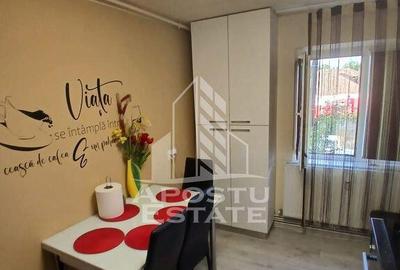 Apartament , centrala proprie , renovat , Zona Lunei - 4