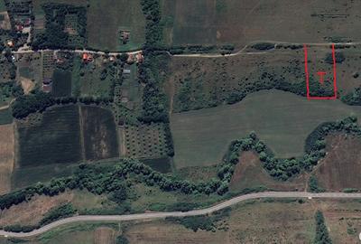 Teren agricol extravilan de 2800 mp, în Ciumăfaia - 4