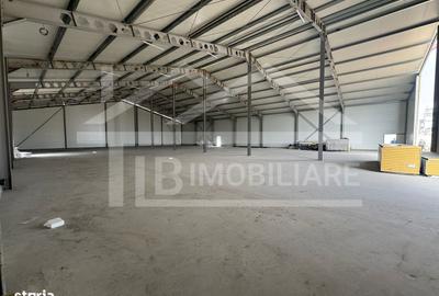 Spațiu comercial, de 1,250 mp, în Criș - 5
