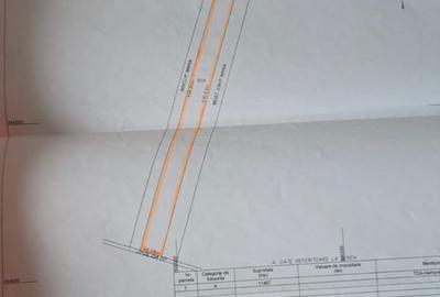 Spațiu comercial, în Dascălu