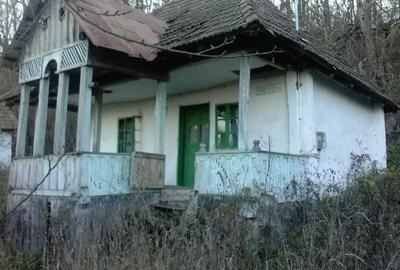 Teren Construcții intravilan de 1000 mp, în Turceni - 1