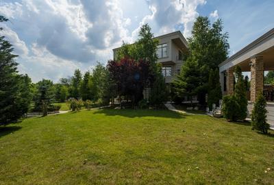 REV2004019 Vila Peninsula lacul Tei - 21