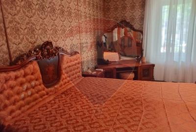 OCAZIE!! Vila cu personalitate istorica in centrul orasului Arad!! - 21