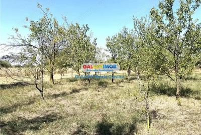 Vanzare teren intravilan Baicoi Central Vanzare teren intravilan Baicoi Central - 2