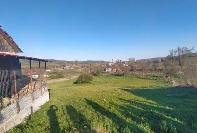 Casa de vanzare/schimb in Panticeu cu gradina mare - 9