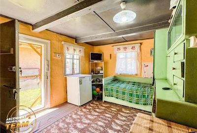 FILM! Doua case+anexe,rezidential comercial de vacanta,Zagon,Covasna - 16