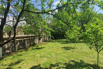 Casă cu 2 camere în Dersca - 8