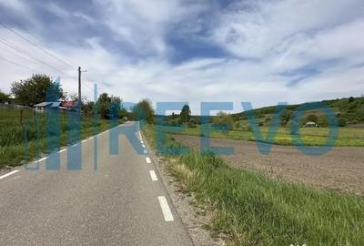 Teren de 5351 mp, în Roșiori - 3