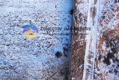 Teren intravilan 1000 mp – Alexandru cel Bun - 9