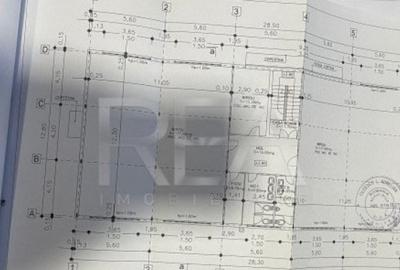 Spatiu Comercial | Open Space | 800m2 - 5