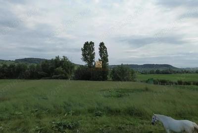 Teren de 3953 mp, în Fălticeni - 1