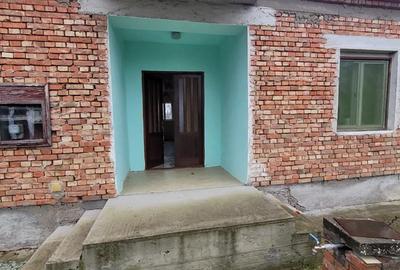 Casă în Peciu Nou - 5