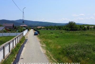 TEREN 2510 MP, PRETABIL DEZVOLTARE REZIDENTIALA - 5