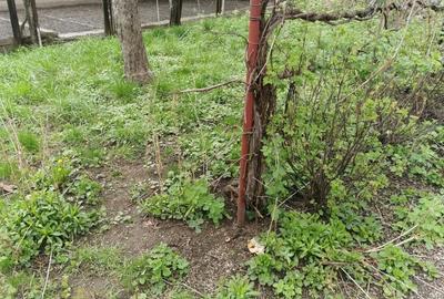 Casa 4 camere libera la vanzare zona Avram Iancu - 14