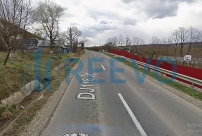 Vanzare Teren - Comuna Beresti-Tazlau, sat Bosoteni - 3