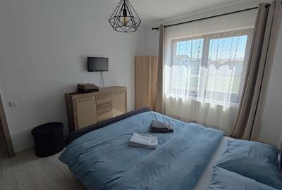 Apartament cu 2 camere nedecomandat în Giroc - 3