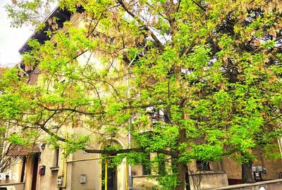 Apartament cu 3 camere în Aviatorilor - 2