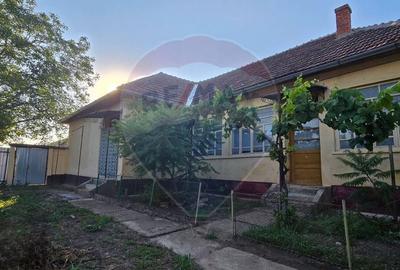 Casa de vanzare in Graniceri aproape de Arad - 14