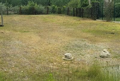 Spațiu comercial, în Jiblea Nouă - 4