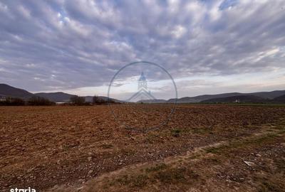 Spațiu comercial, în Șieu - 6