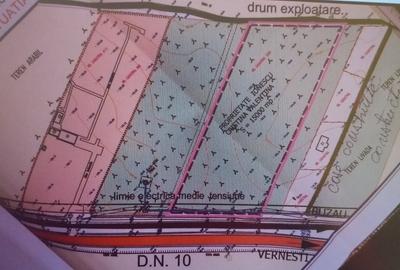 Teren 15000 mp Vernesti, Buzau cu PUZ - 9
