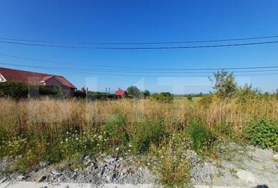 Teren intravilan si extravilan, 9500 mp, cu dubla deschider - 1