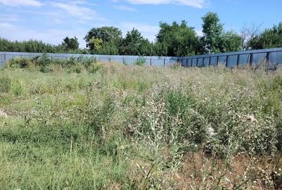 Teren de 1767 mp, în Chirnogi - 2