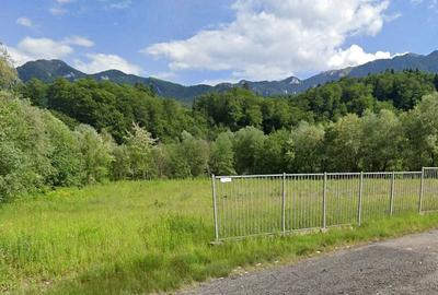 Teren Construcții intravilan de 3482 mp, în Timișu de Sus