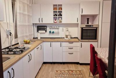 Apartament cu 3 camere semidecomandat în Gorjului - 2