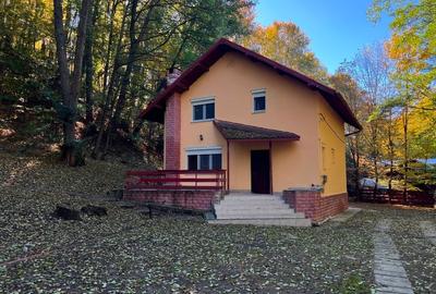 Vila de vanzare P+1 - 128 mp ; 3 dormitoare, 2 bai ; complet mobilata si utilata - 11