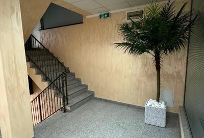 Spatiu comercial si birouri, zona Sun Plaza Tineretului - 6