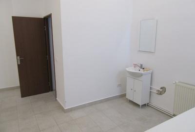 Inchiriere Spatiu Comercial Teiul Doamnei - 27