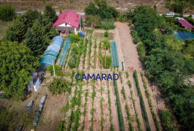 Casa si teren de 9000 mp - ideal investitie - Fundeni/Calarasi - 4