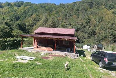 Casă cu Teren 1046 Mp în Hărțăgani - 3