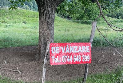 Teren de 1625 mp, în Poiana - 5