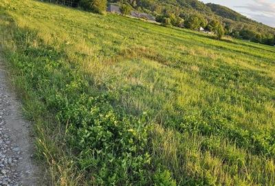 Teren Construcții intravilan de 1495 mp, în Dobreni - 29