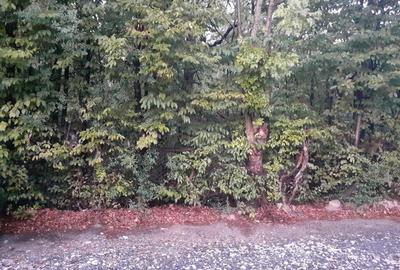 Teren de 1861 mp, în Central - 3