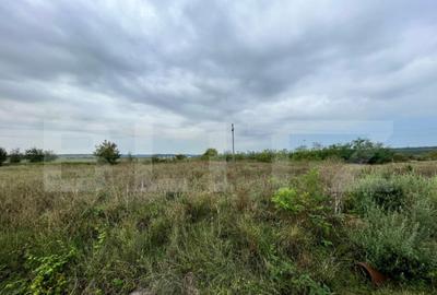 Teren industrial Isalnita 38m deschidere la E70, 1406mp - 2