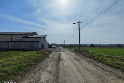 Spațiu comercial, în Valu lui Traian - 4