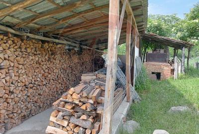 Casă individuală cu 4 camere cu Teren 11016 Mp în Valea Babei - 17