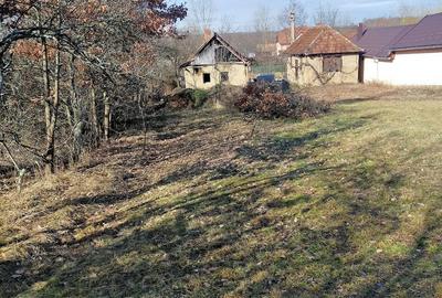 Casă cu Teren 2900 Mp în Iaz - 5