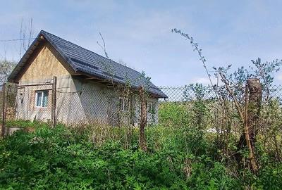 Casă cu Teren 8000 Mp în Mădăraș - 7