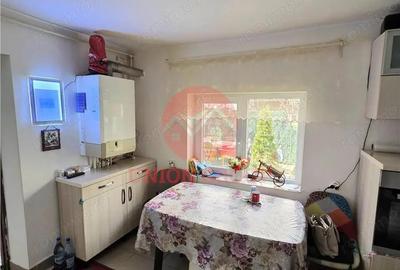 Casă cu 2 camere cu Canalizare în Coiciu - 15