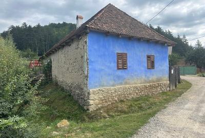 Casă tradițională în Valea Zălanului – acoperiș refacut teren 1.690 m² Casă tradițională în Valea Zălanului – acoperiș refacut teren 1.690 m² - 1